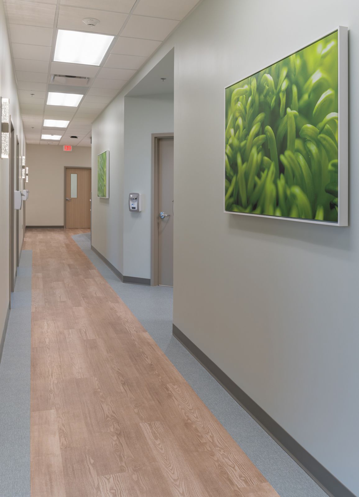 Clinic corridor with wood-look flooring and large botanical artwork